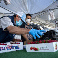 Encino-Farmers-Market_Captioned-11-1